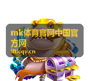 赛后技术统计与数据对照表展示