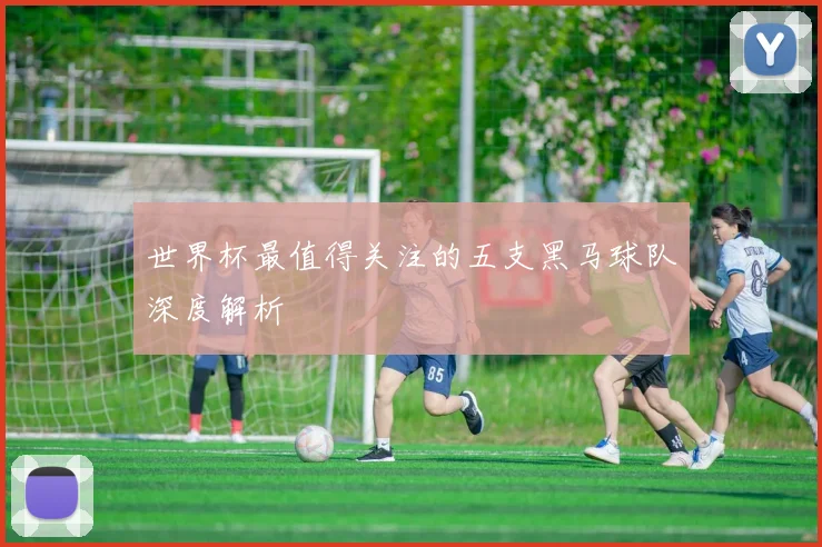 世界杯最值得关注的五支黑马球队深度解析