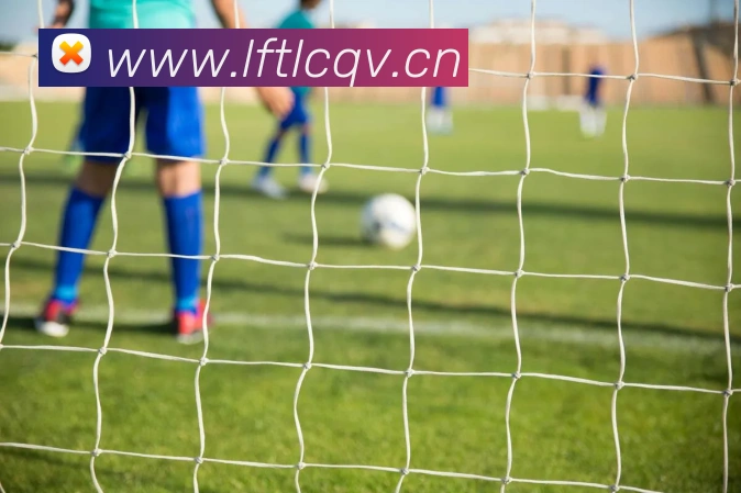 ayx在线登录入口服务体系